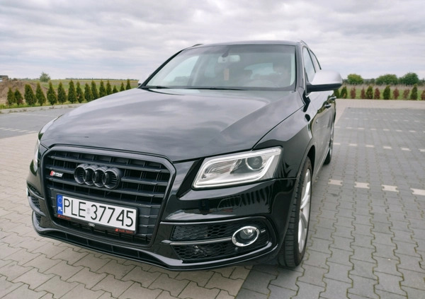 Audi SQ5 cena 92500 przebieg: 192000, rok produkcji 2014 z Drzewica małe 301